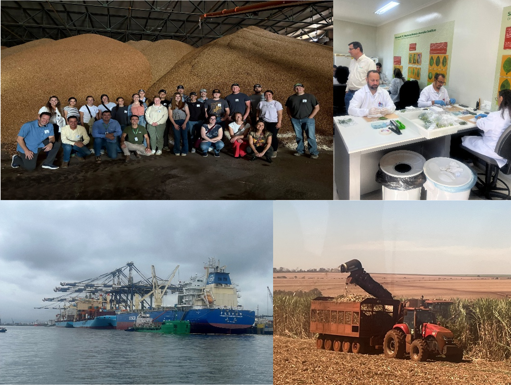 Brazil Ag in Global Context