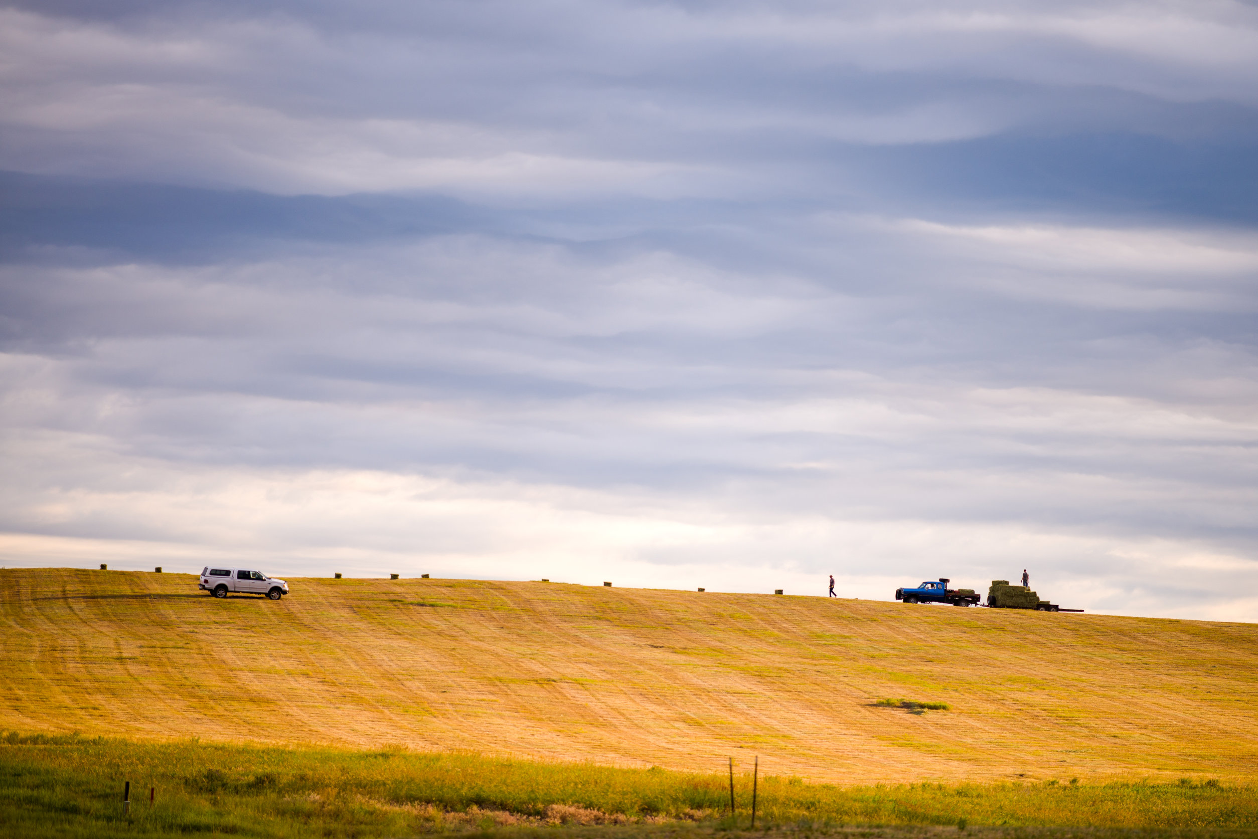 Farms