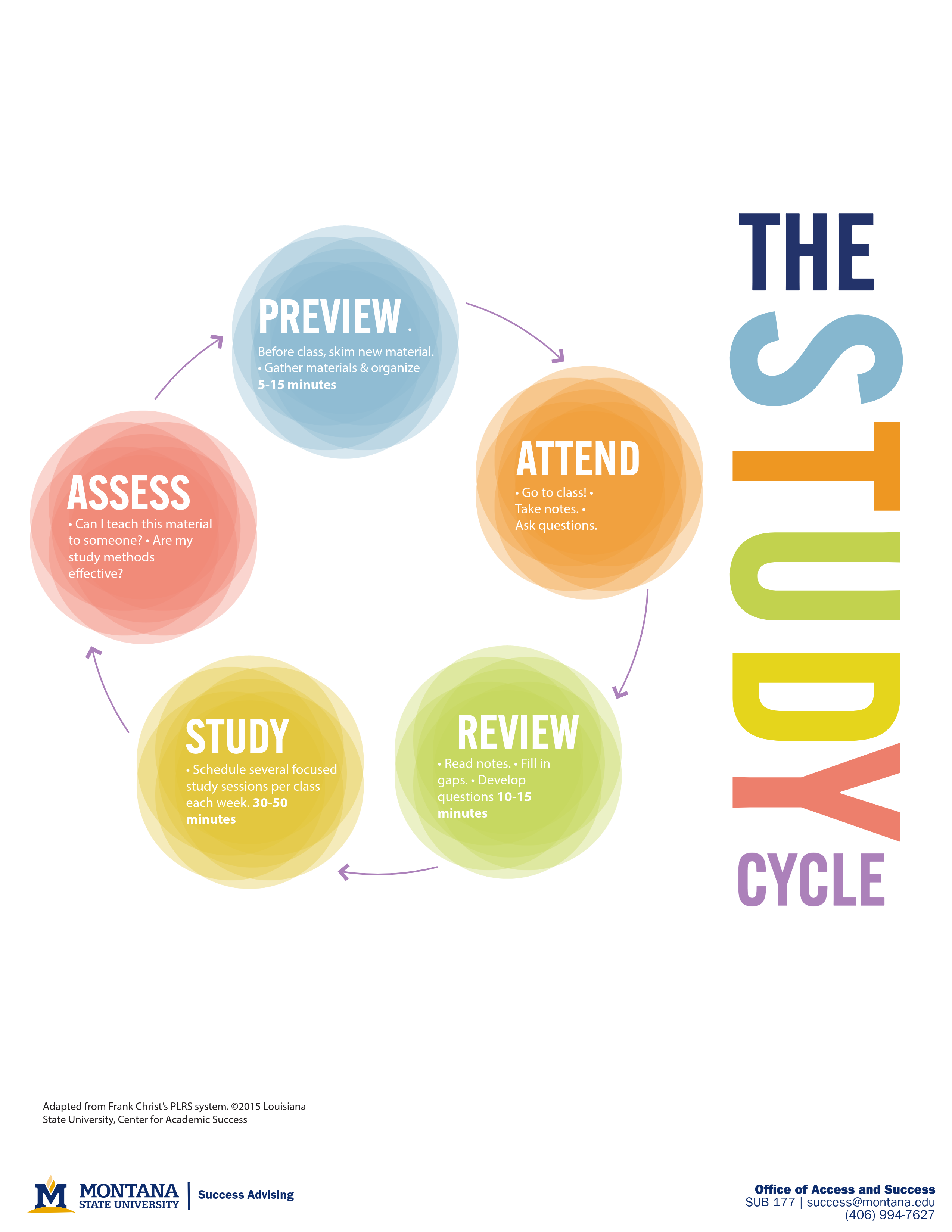 study cycle