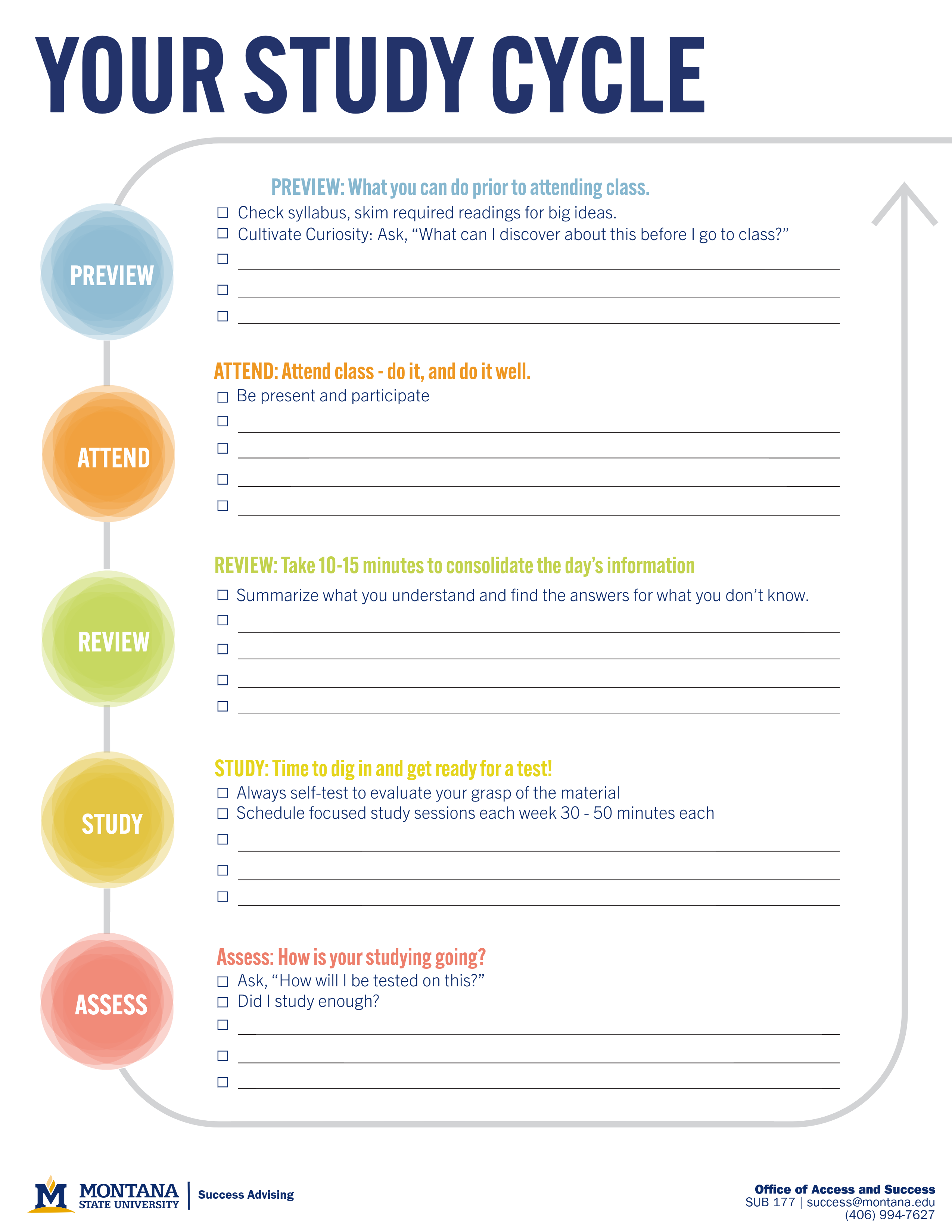 study cycle2