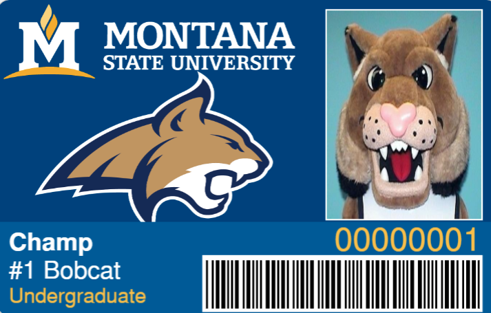 CatCard issued to #1 Bobcat Champ