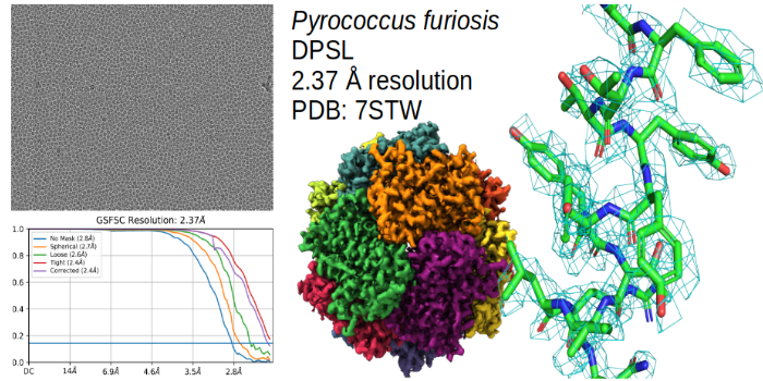 cryo-em structure