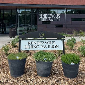 3 pots of herbs being grown outside of Rendezvous dining hall