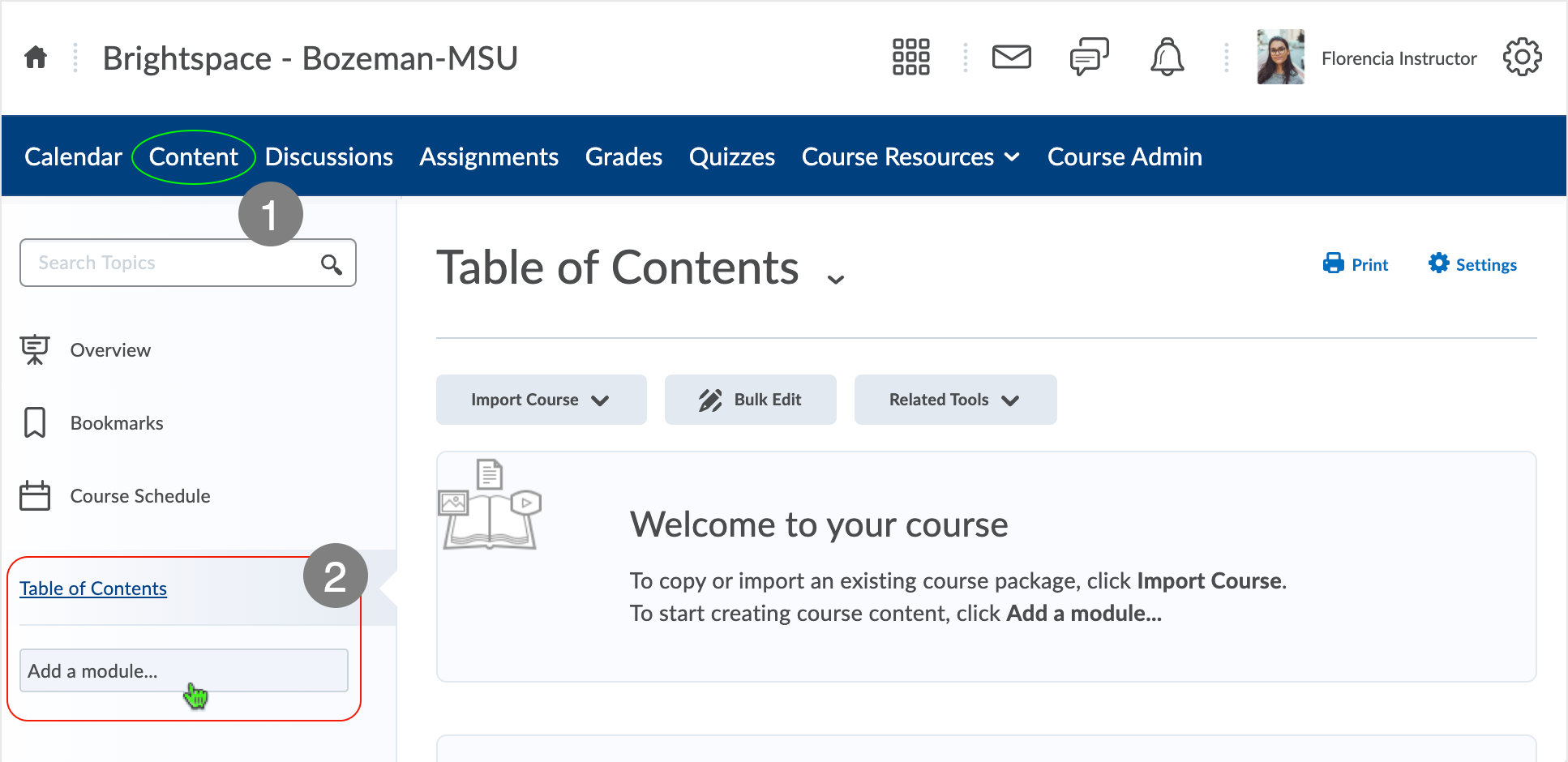 Brightspace screenshot - CD 20_20_12 - initial Content page "Add a module..." shown
