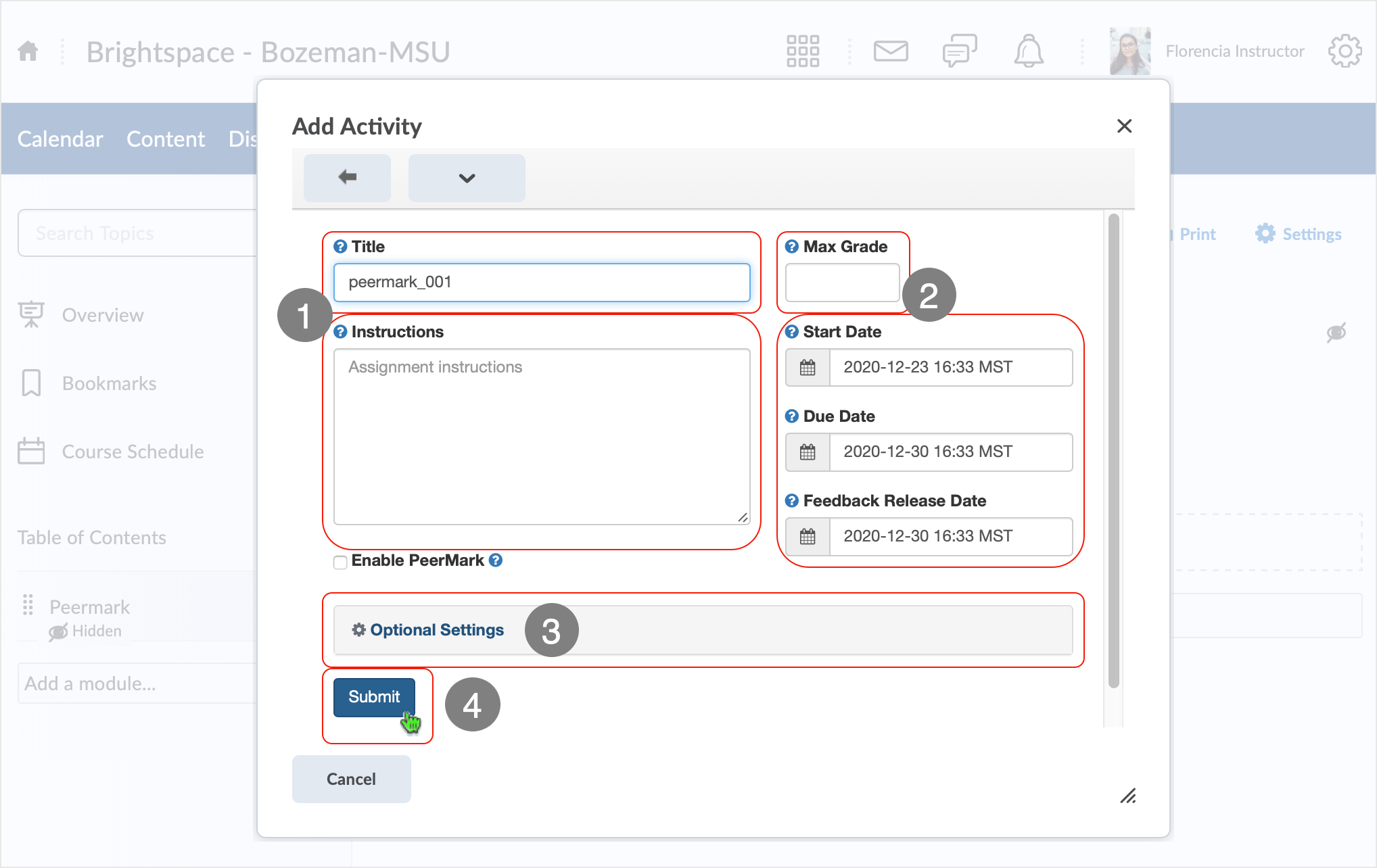 Brightspace screenshot - CD 20_20_12 - Shows set-up of activity witrh "Submit" button.
