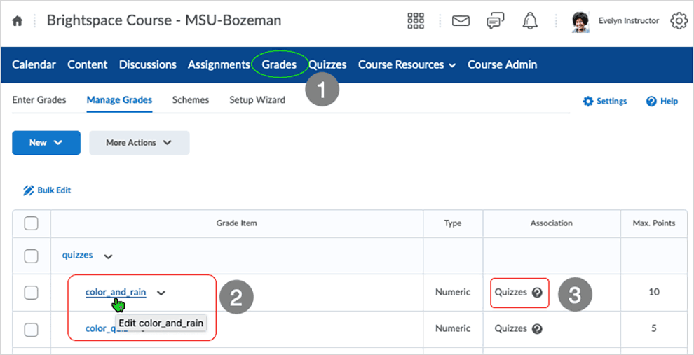 Brightspace screenshot - CD 20_20_04 - Grades list - edit grade item