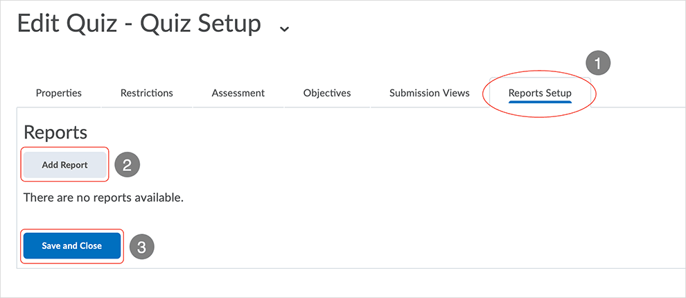 Brightspace screenshot - CD 20_20_04 - Reports Setup tab page with directions related to report creation options