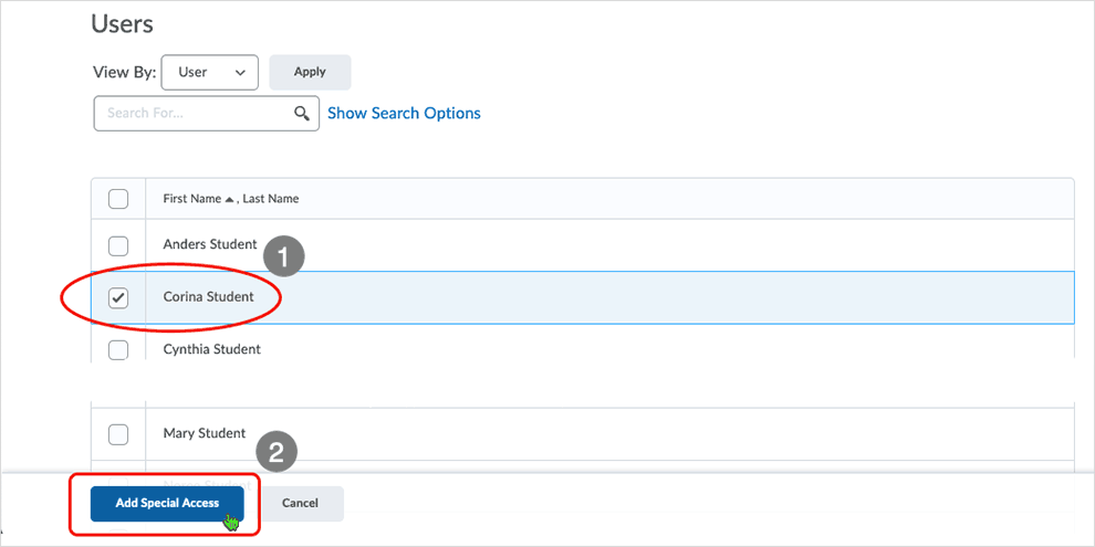 Brightspace screenshot - CD 20_20_04 - showing selection of a user name and selecting the blue "Add Special Access" button