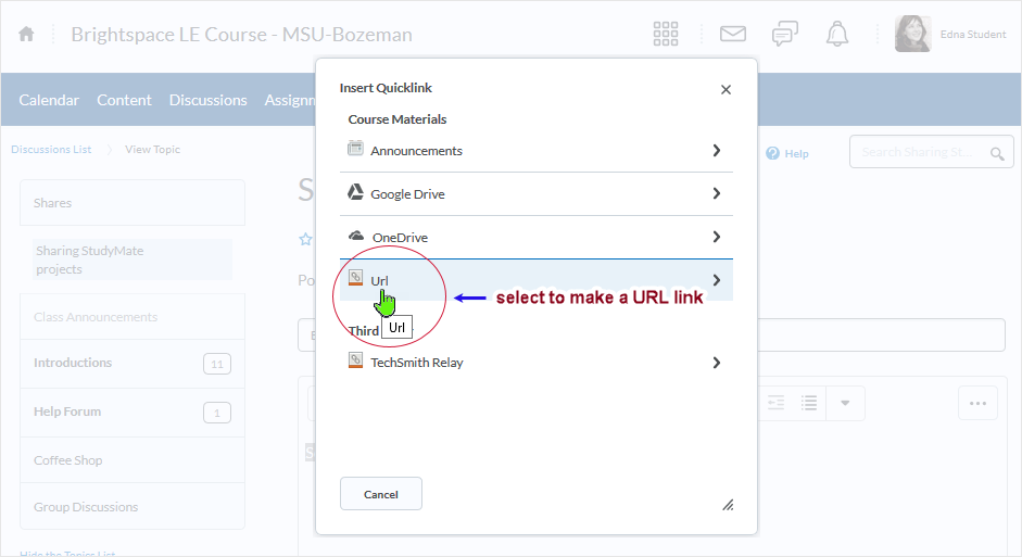 Brightspace_StudyMate screenshot 20.19.10 - select the "URL" link to create the URL type of quicklink