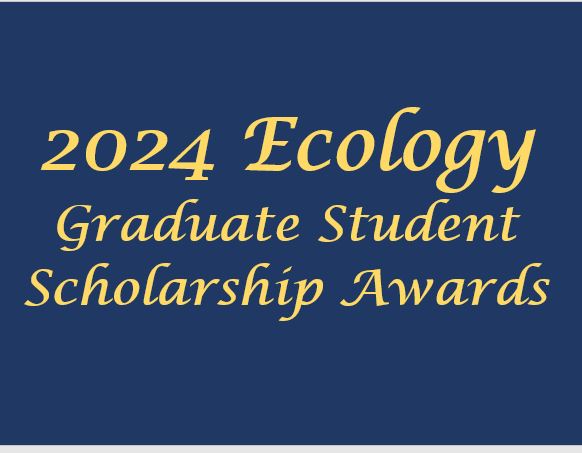 2024 Grad Scholarships