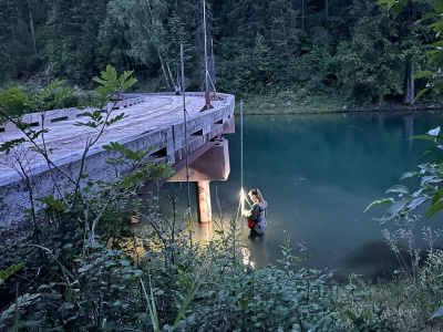 Student conducting bat research standing in water under a bridge at night