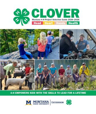 2026-2028 Clover Guide
