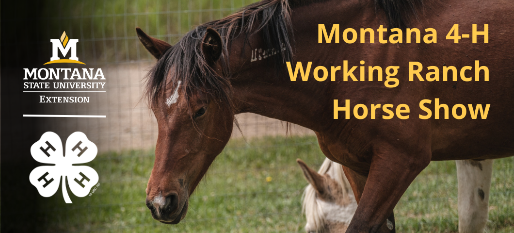 Montana 4-H Working Ranch Horse Show