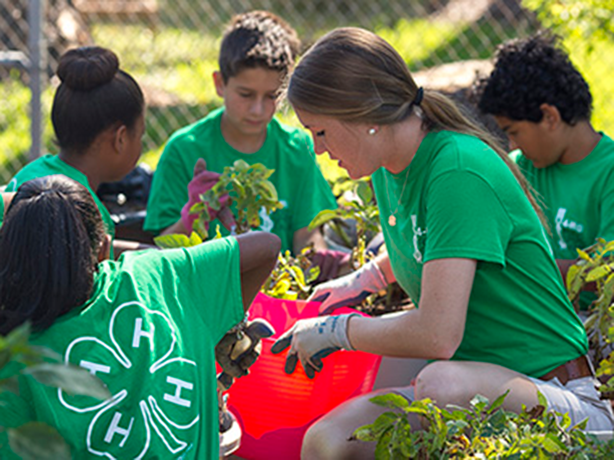 An adult volunteer helping 4-H youth work with plants. All are wearing green shirts.