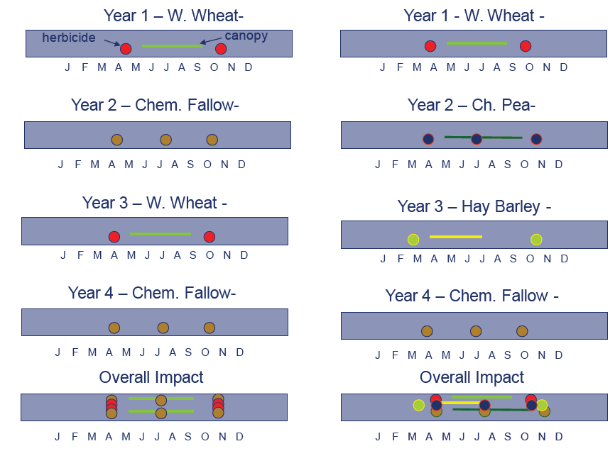 Diagram shows how diversified crop rotations result in more canopy coverage, which combined with varied herbicide applications results in a more challenging environment for weeds to get established.