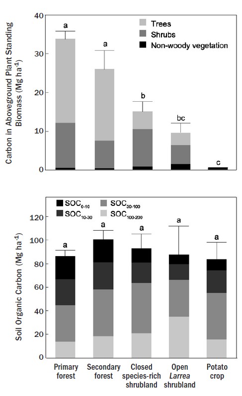 Stacked bar chart comparing carbon stored in aboveground plant biomass and soil organic carbon across five vegetation types: Primary forest, Secondary forest, Closed species-rich shrubland, Open Larrea shrubland, and Potato crop. Primary forest has the highest aboveground carbon and trees account for most of the biomass carbon in forests, while shrubs contribute a larger proportion in shrublands. Total soil organic carbon has relatively similar values among all vegetation types, indicated by the letter “a” above each bar.