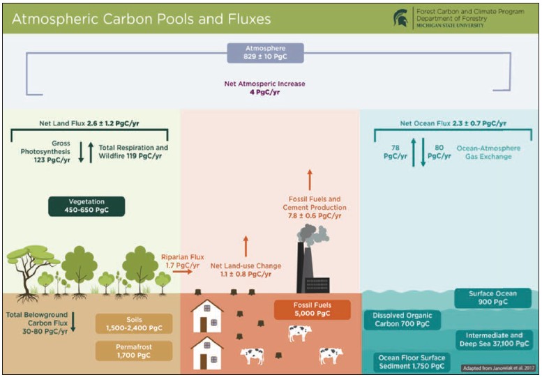 Infographic titled “Atmospheric Carbon Pools and Fluxes” showing the movement and storage of carbon among the atmosphere, land ecosystems, fossil fuels, and oceans. At the top, the atmosphere contains 829 ± 10 petagrams of carbon (PgC) and is increasing by 4 PgC per year. On the land side, vegetation stores 450–650 PgC, soils store 1,500–2,400 PgC, and permafrost stores 1,700 PgC. Carbon moves through gross photosynthesis (123 PgC/yr) and is returned through total respiration and wildfire (119 PgC/yr), resulting in a net land carbon uptake of 2.6 ± 1.2 PgC/yr. In the center, fossil fuel reserves contain 5,000 PgC and release carbon through fossil fuel use and cement production (7.8 ± 0.6 PgC/yr) and land-use change (1.1 ± 0.8 PgC/yr). On the ocean side, carbon is exchanged between the atmosphere and ocean at rates of about 80 PgC/yr into the ocean and 78 PgC/yr out of the ocean, producing a net ocean uptake of 2.3 ± 0.7 PgC/yr. Additional ocean carbon reservoirs include dissolved organic carbon, deep ocean waters, surface ocean waters, and ocean floor sediments. The diagram emphasizes that human activities add carbon to the atmosphere while land and ocean systems absorb part of those emissions.