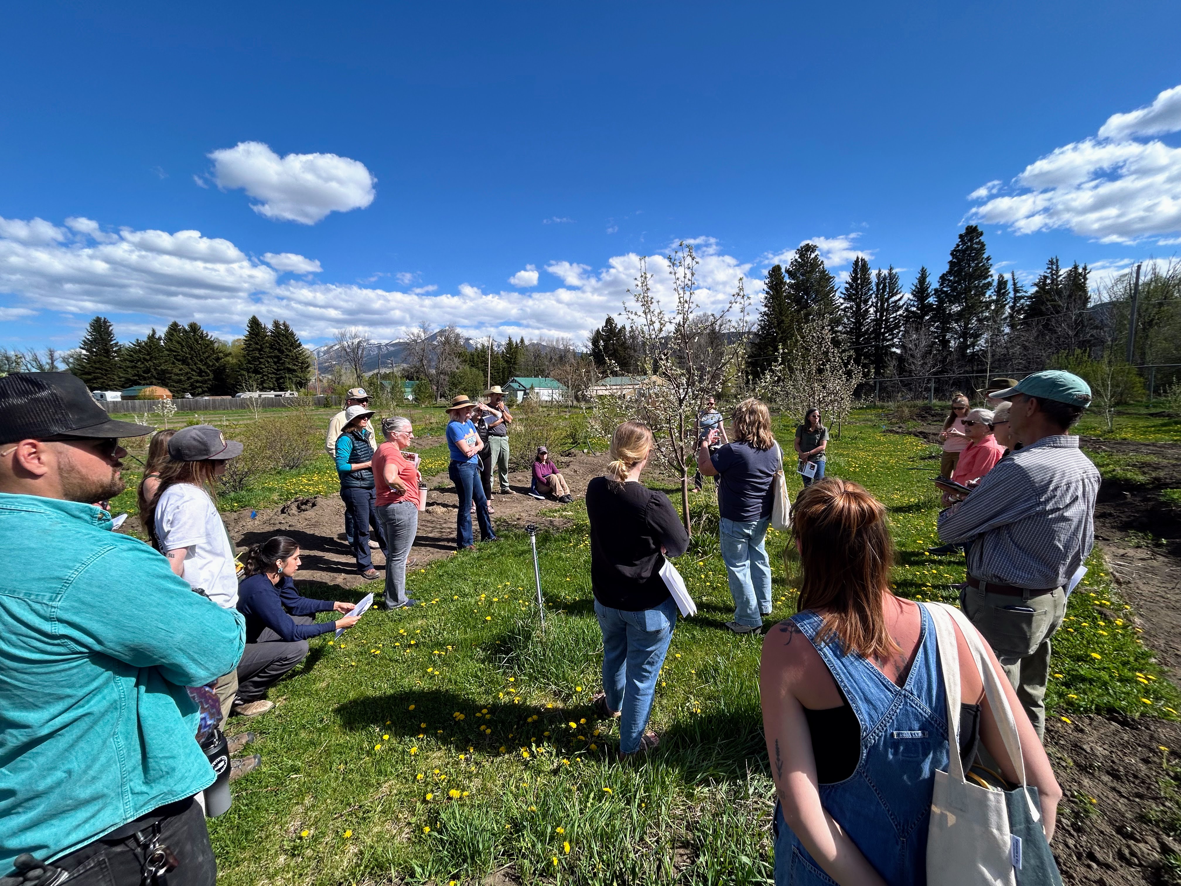 Sarah Eilers, Master Gardener Coordinator, teaching tree health, planting, and pruning at an orchard in Livingston.