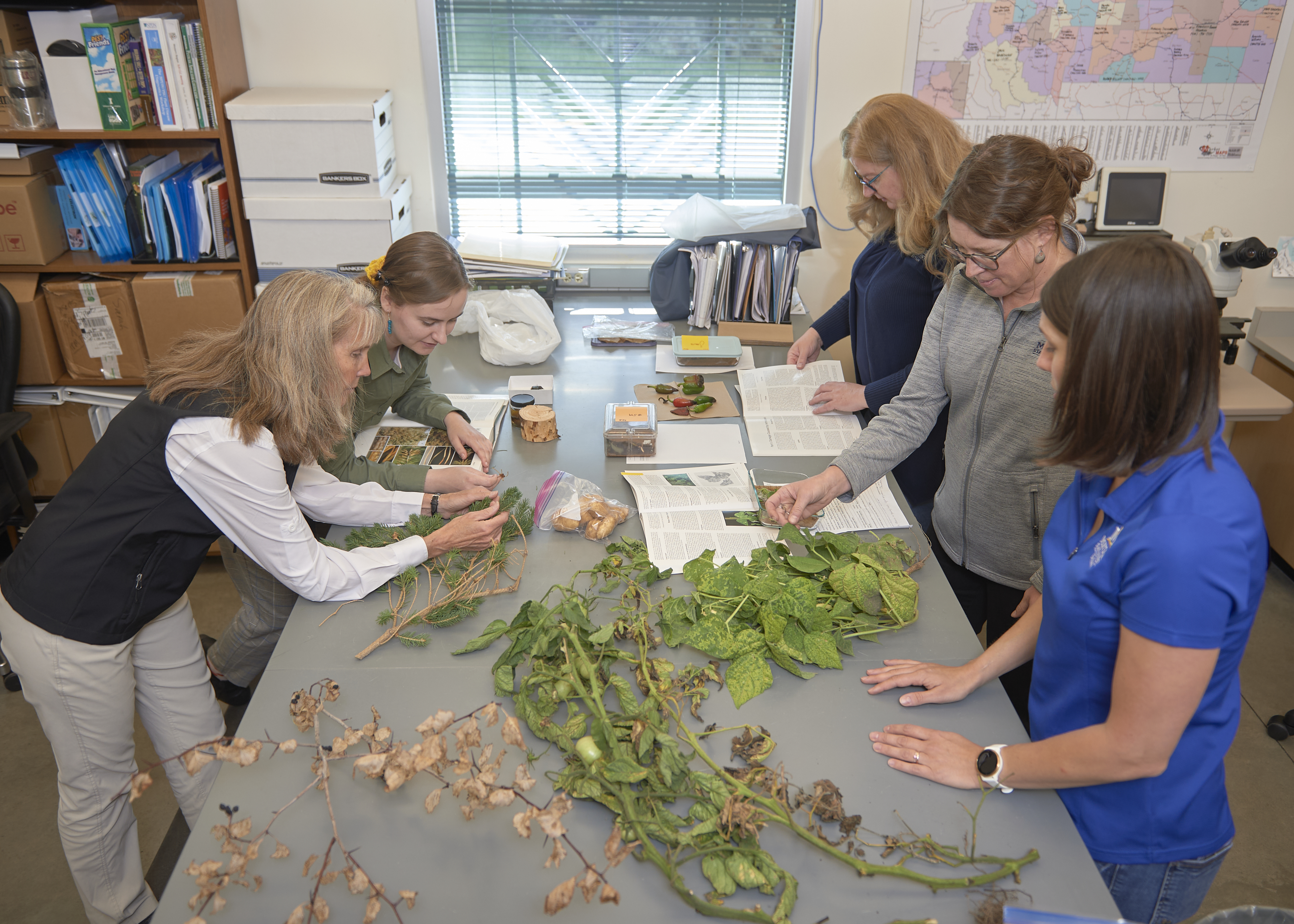 Lab specialists examine samples that are laid out on a table