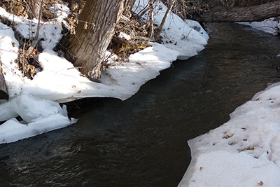 Winter photo of snowy banks along Bozeman Creek