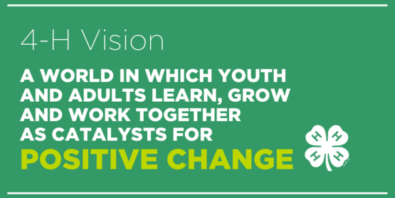 youth adult partnership positive change