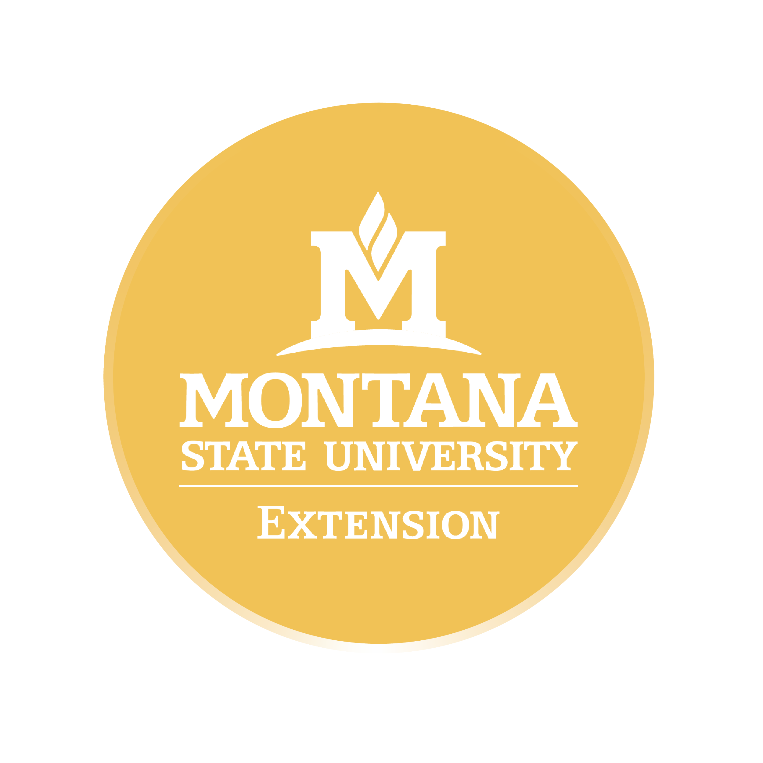 MSU Logo