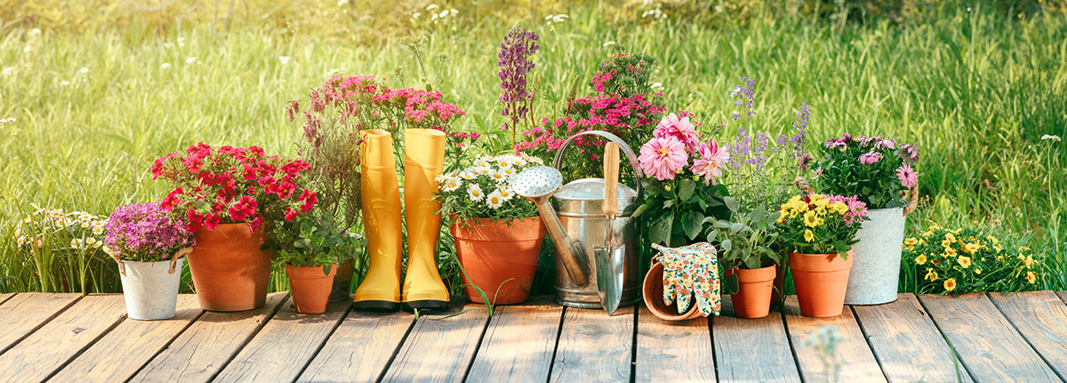 Color flower display after harvesting a bounty of wildflowers