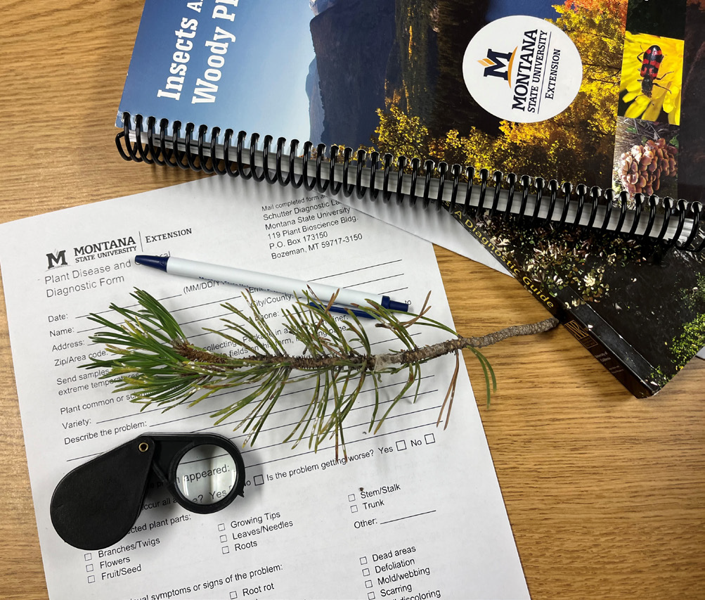 a plant diagnostic clinic paper with a book