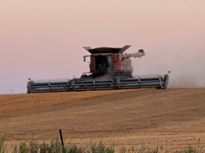 a tractor drives across a field at dusk