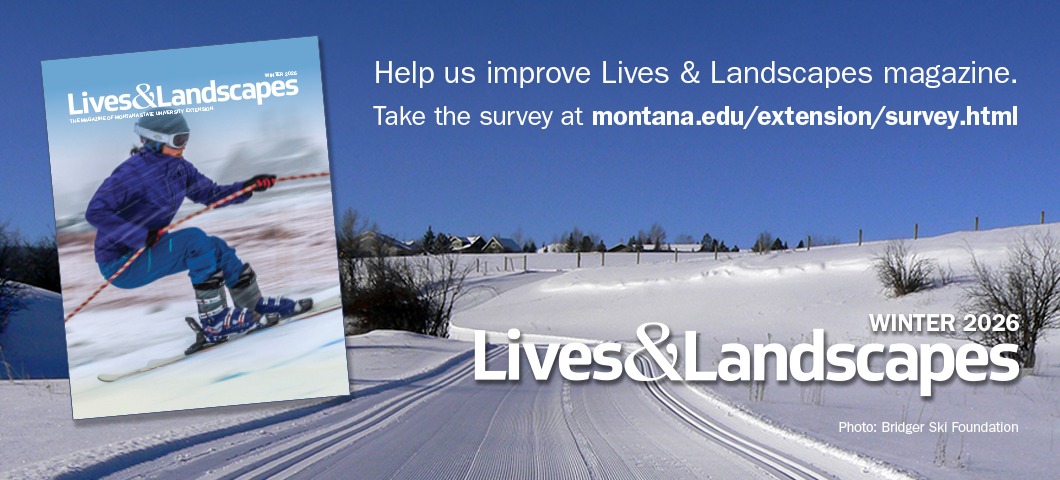Background image is of a groomed crosscountry ski trail at Highland Glen on a bluebird day. Magazine cover image is laid overtop, as is the text: "Help us improve Lives & Landscapes magazine. Take the survey at montana.edu/extension/survey.html. Photo credit to Bridger Ski Foundation.