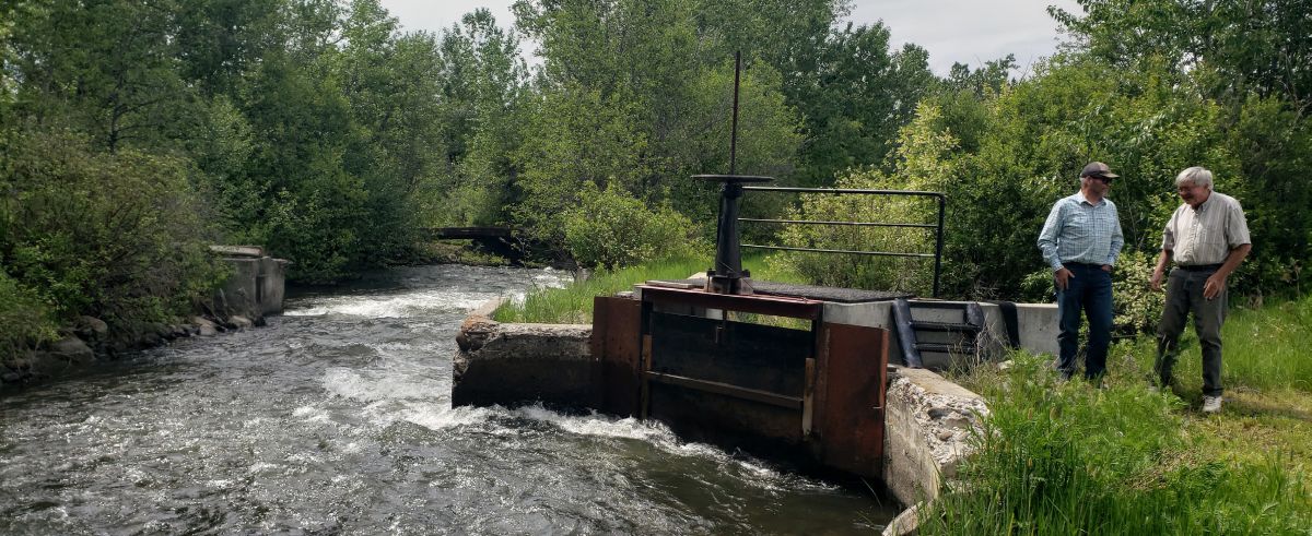 two men stand beside a creek where water is being diverted to an irrigation ditch