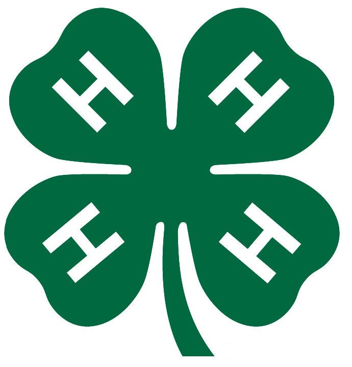 4-H Clover