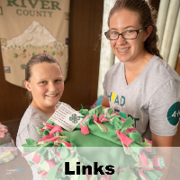 4-H Links