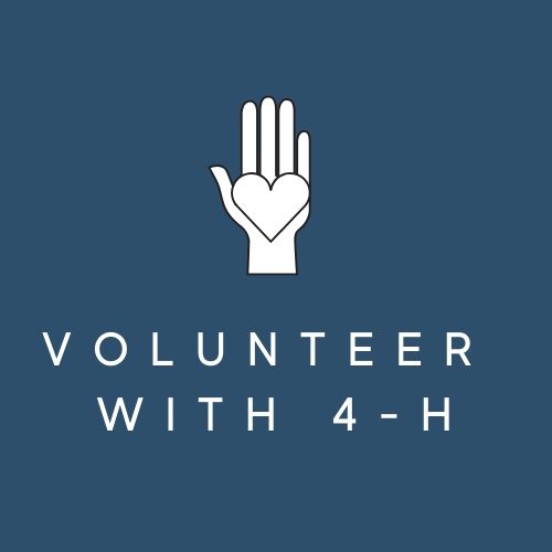 VOLUNTEER