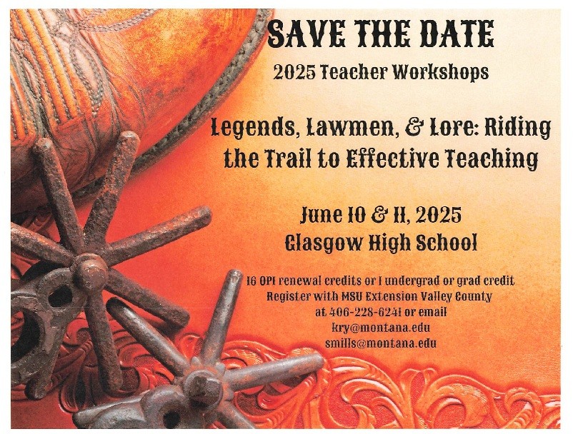 Teacher Workshop