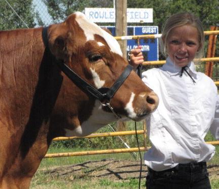 using show halter