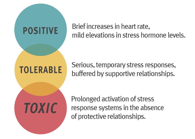 Three bubbles on the left side of the image have Positive, Tolerable, and Toxic stress.