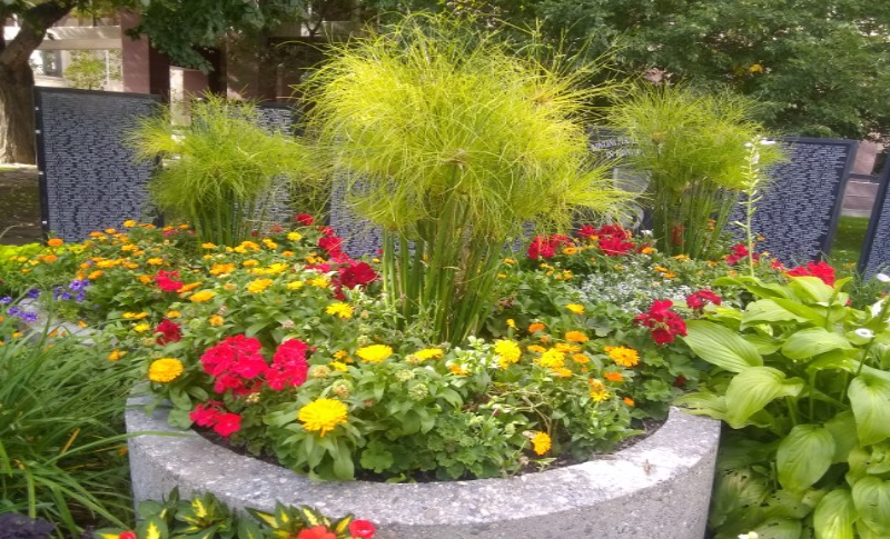 courthouse planter