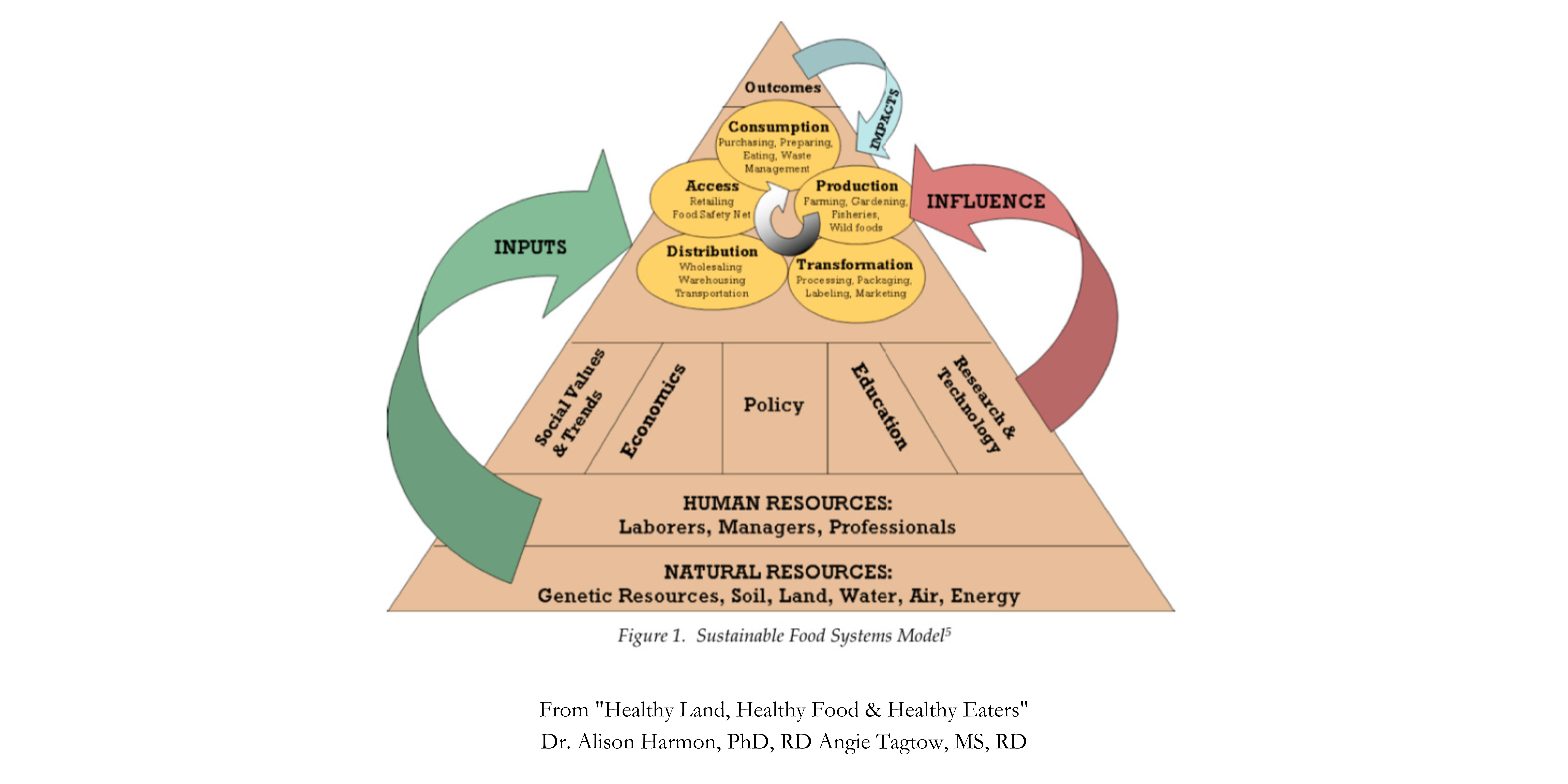 sustainable food systems model