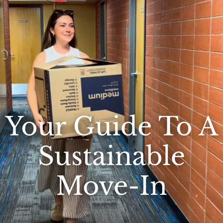 Sustainability