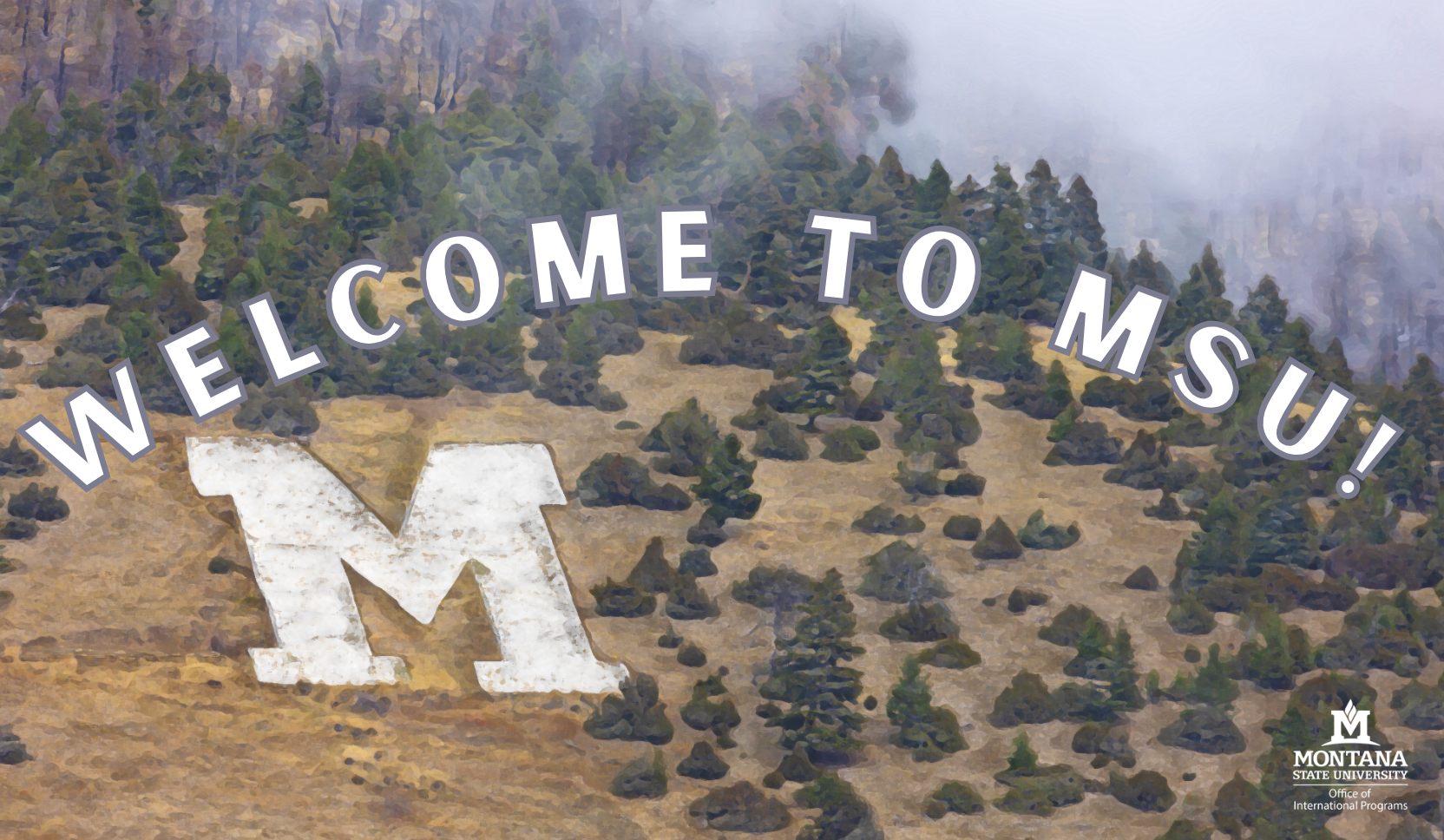 Welcome To MSU!