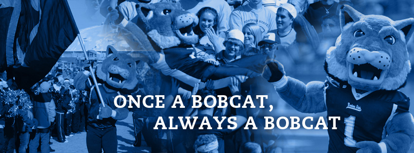 once a bobcat banner