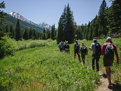 Class hiking in flowering plants course