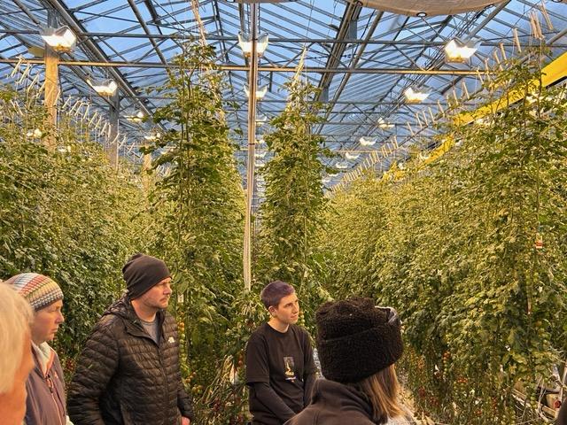 Greenhouse