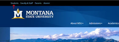 MyInfo Link on MSU homepage