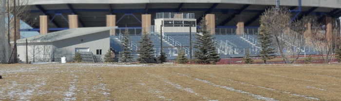 Track Bleacher and Press Box