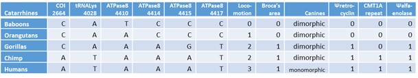 Chart 1