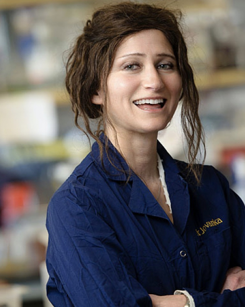 Jovanka Voyich