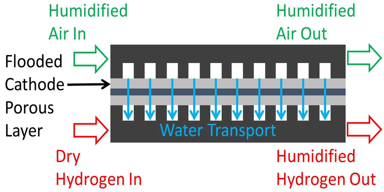 DLSA schematic