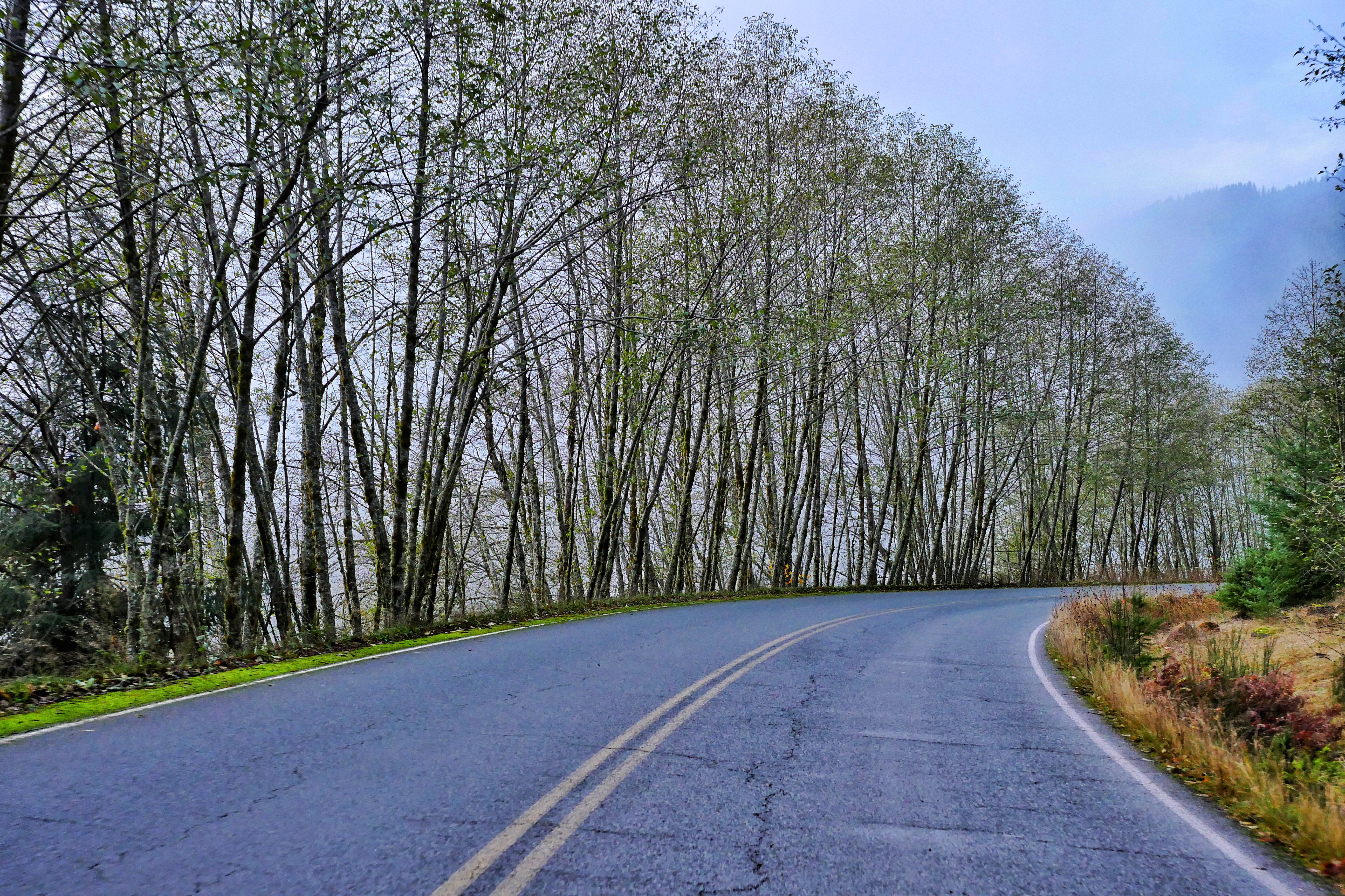 COUNTRY ROAD